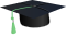 Taskforce icon
