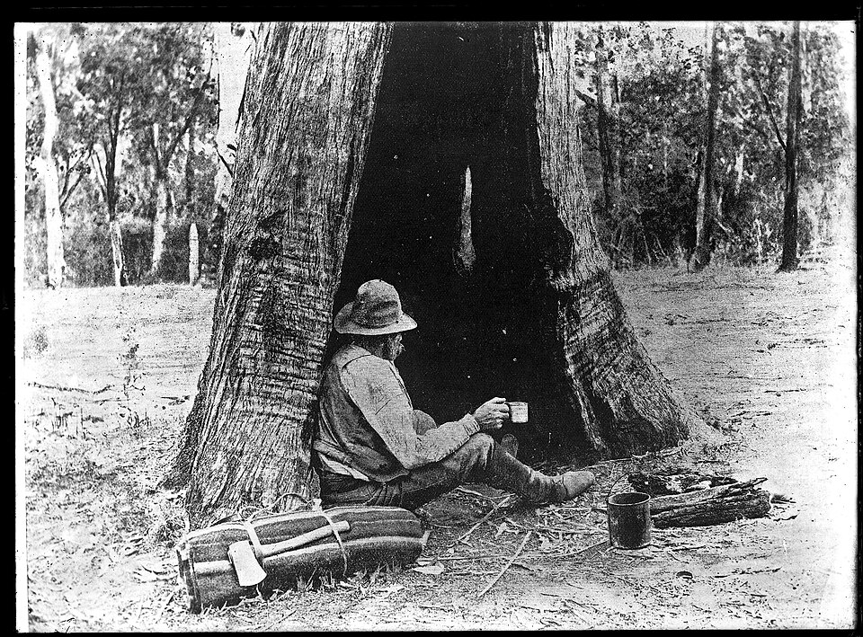 File:Swagman.jpg