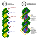 Thumbnail for version as of 15:50, 7 October 2024