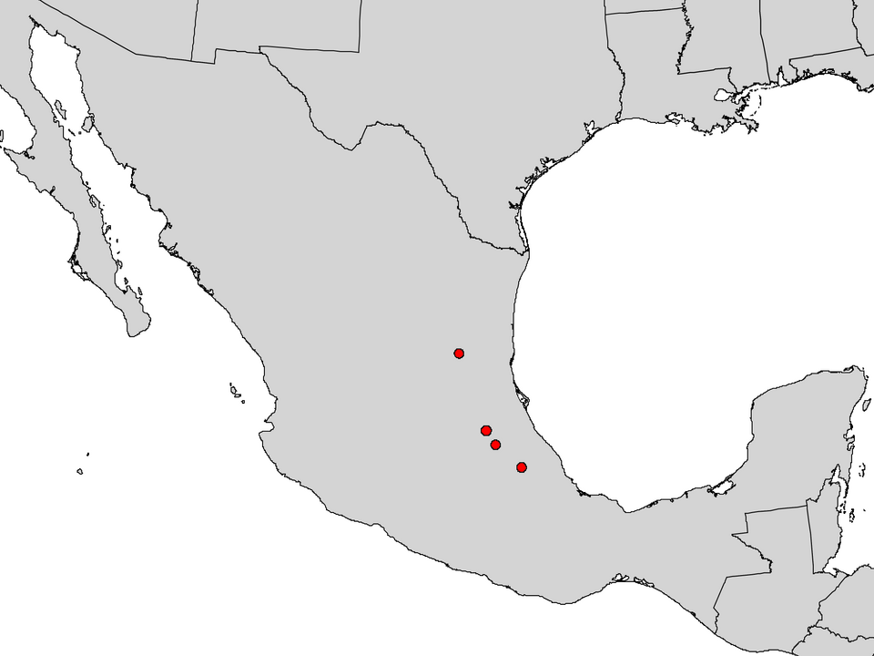 File:Fagus mexicana range map 1.png