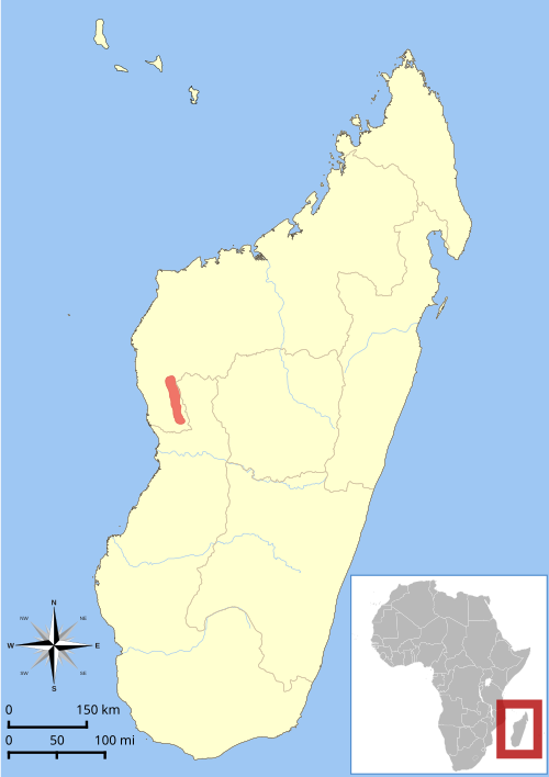 File:Lepilemur randrianasoloi range map.svg
