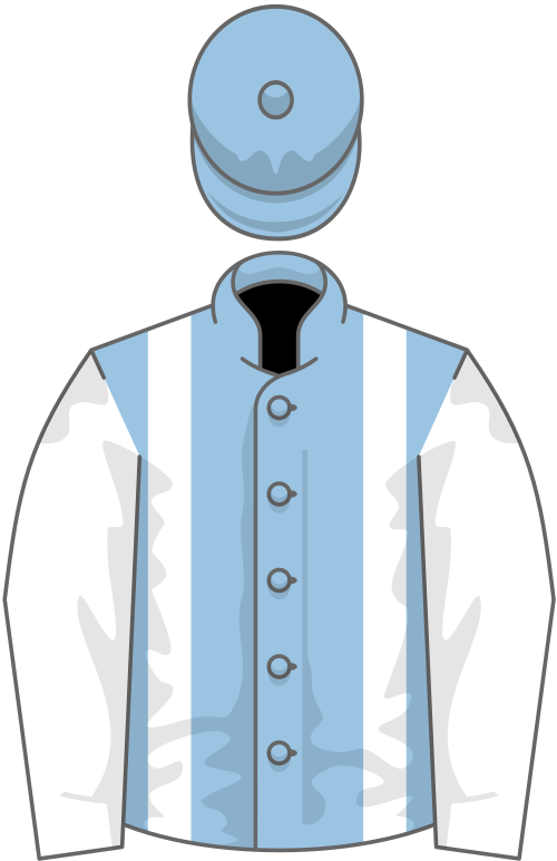 File:Owner Mr Tim Johnson.svg
