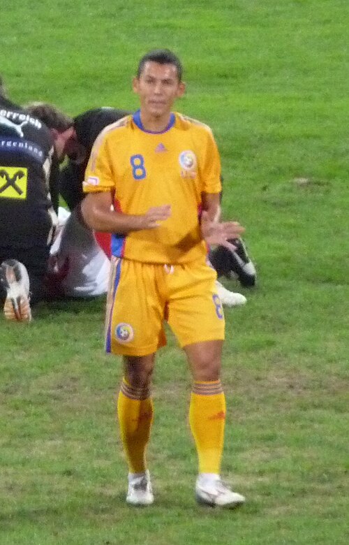 File:RO B ROMAUT Paul Codrea 2.jpg