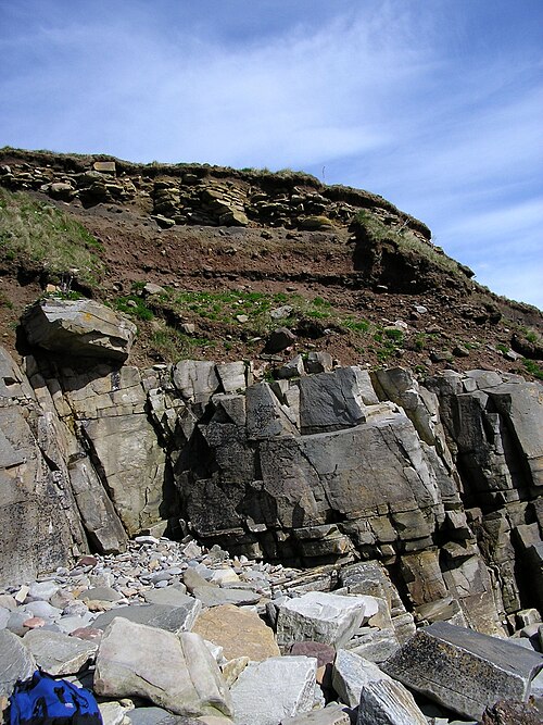 File:Rockhead at Sandside Bay, Caithness, Scotland.jpg