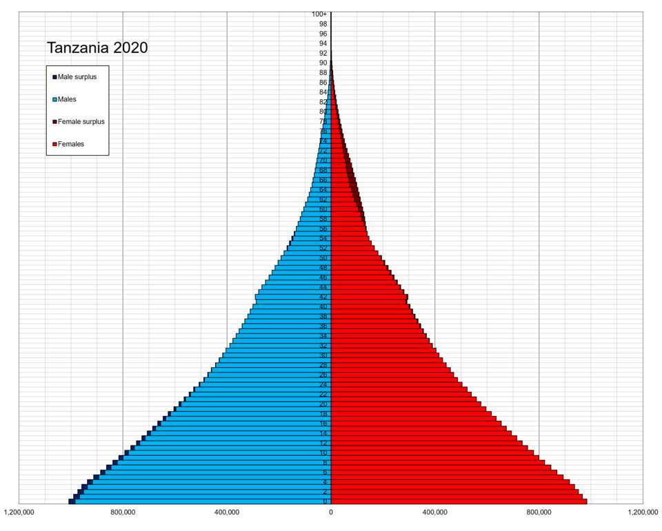 File:Tanzania single age population pyramid 2020.png
