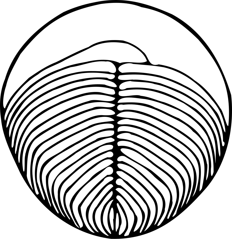 File:Yorgia.svg