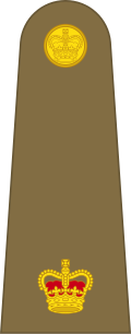 File:British Army OF-3.svg
