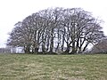 Thumbnail for version as of 21:45, 28 February 2015