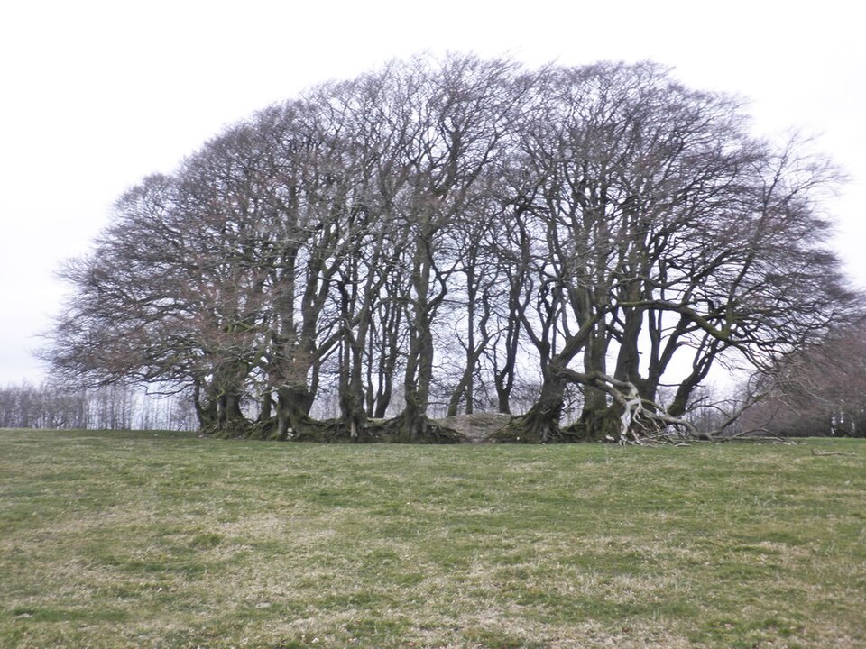 File:Huish Champflower Barrow (geograph 3891125).jpg