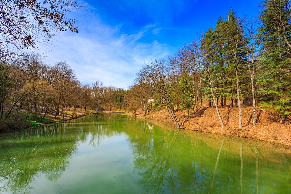 File:Jezero Trešnja.jpg