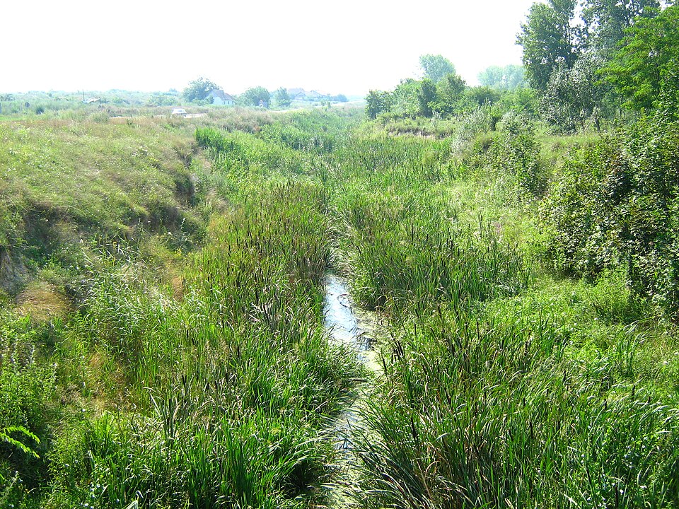 File:Mostonga.JPG
