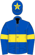 Royal blue, yellow hoop, yellow armlet, yellow star on cap