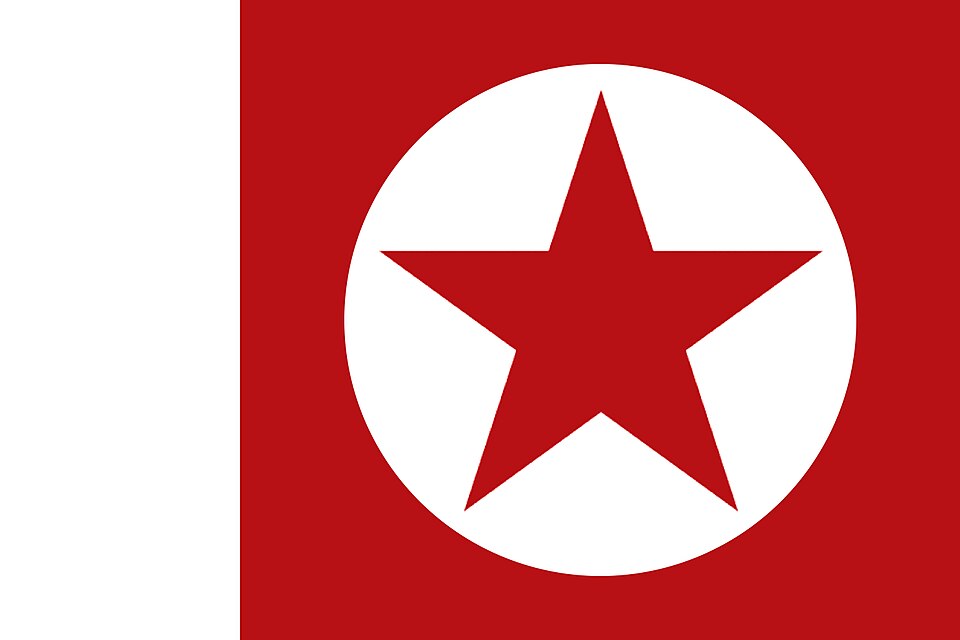 File:Pasban-e-Pakistan Flag.jpg