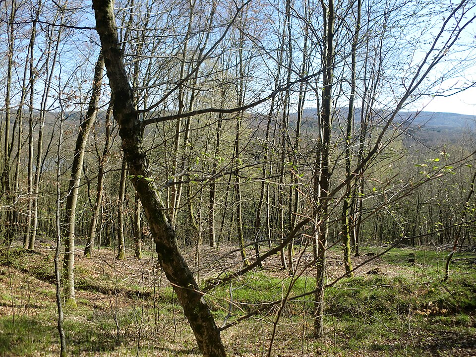 File:Puits n° 2.jpg