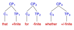 Adapted from Sportiche et al., 2014 page 96