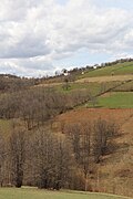 Donje Leskovice - panorama