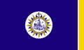Flag of Metropolitan Government of Nashville and Davidson County