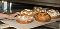 Freshly_baked_bread_loaves