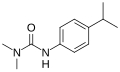 Thumbnail for version as of 13:50, 11 September 2024
