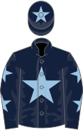Dark blue, light blue star, dark blue sleeves, light blue stars, dark blue cap, light blue star