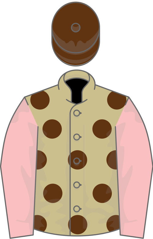 File:Owner T J Ford.svg