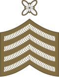 File:RFC Quartermaster Sergeant.svg
