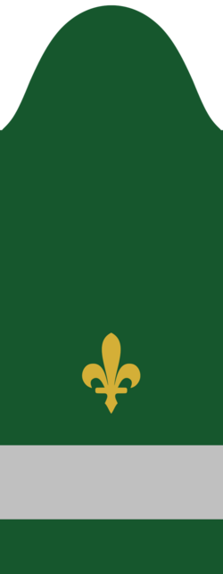 File:Sergeant---Army-of-the-Republic-of-Bosnia-and-Herzegovina-1992.png