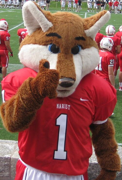 File:Shooter (Renamed Frankie).jpg