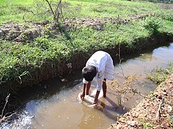 Stream in or near village Goa.