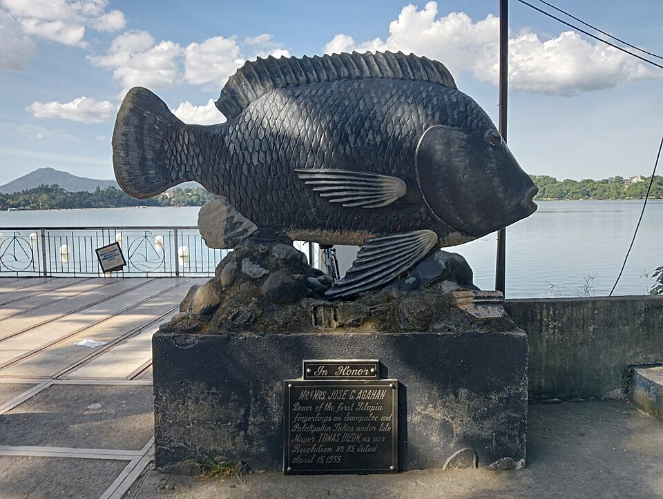 File:Tilapia Monument, San Pablo City, Laguna.jpg