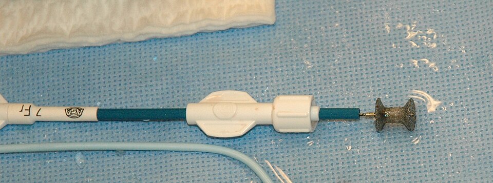 File:VSD plug.jpg