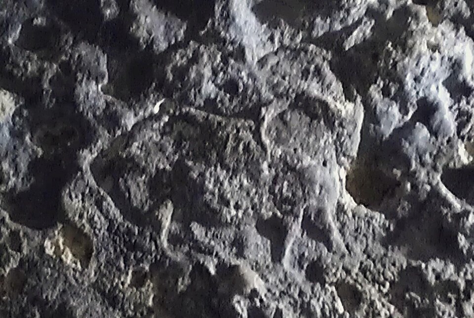 File:Abri Pataud engraving.jpg