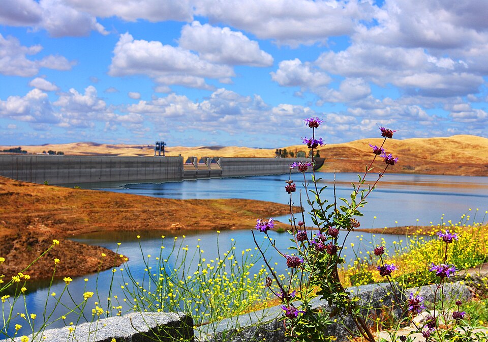 File:Friant Dam & Milerton Lake.jpg