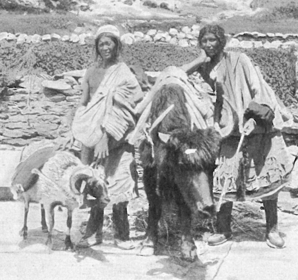 File:Kurt boeck indien nepal 294 (cropped).jpg