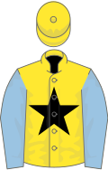 Yellow, Black star, Light Blue sleeves, yellow cap