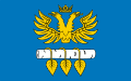 Flag of Brzozów County