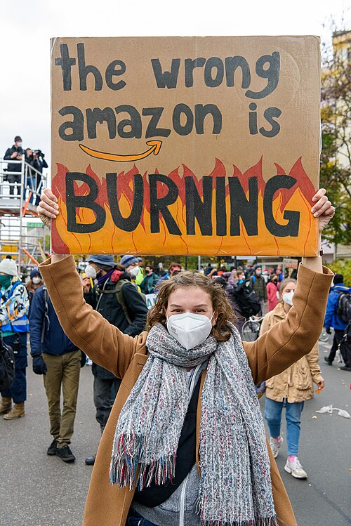 File:The wrong amazon is burning (51638160399).jpg