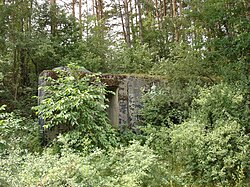Bunker
