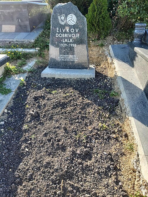 File:Dobrivoje Živkov grave.jpg