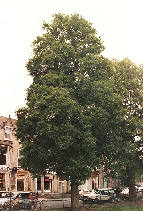 File:EdC-BL-1989-12-A.jpg