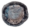 Thumbnail for version as of 19:21, 9 July 2023