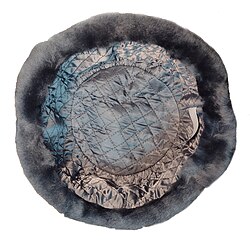 lining of an ushanka hat