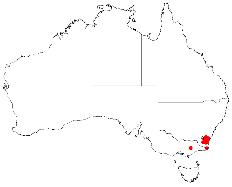 File:PersooniaasperulaDistMap8.png