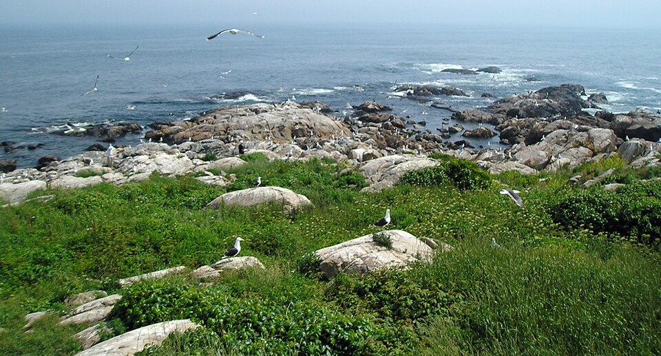 File:Thacher Island National Wildlife Refuge (5198415547).jpg