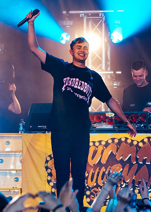 File:Flemming - Hello Festival 2022 (cropped).jpg