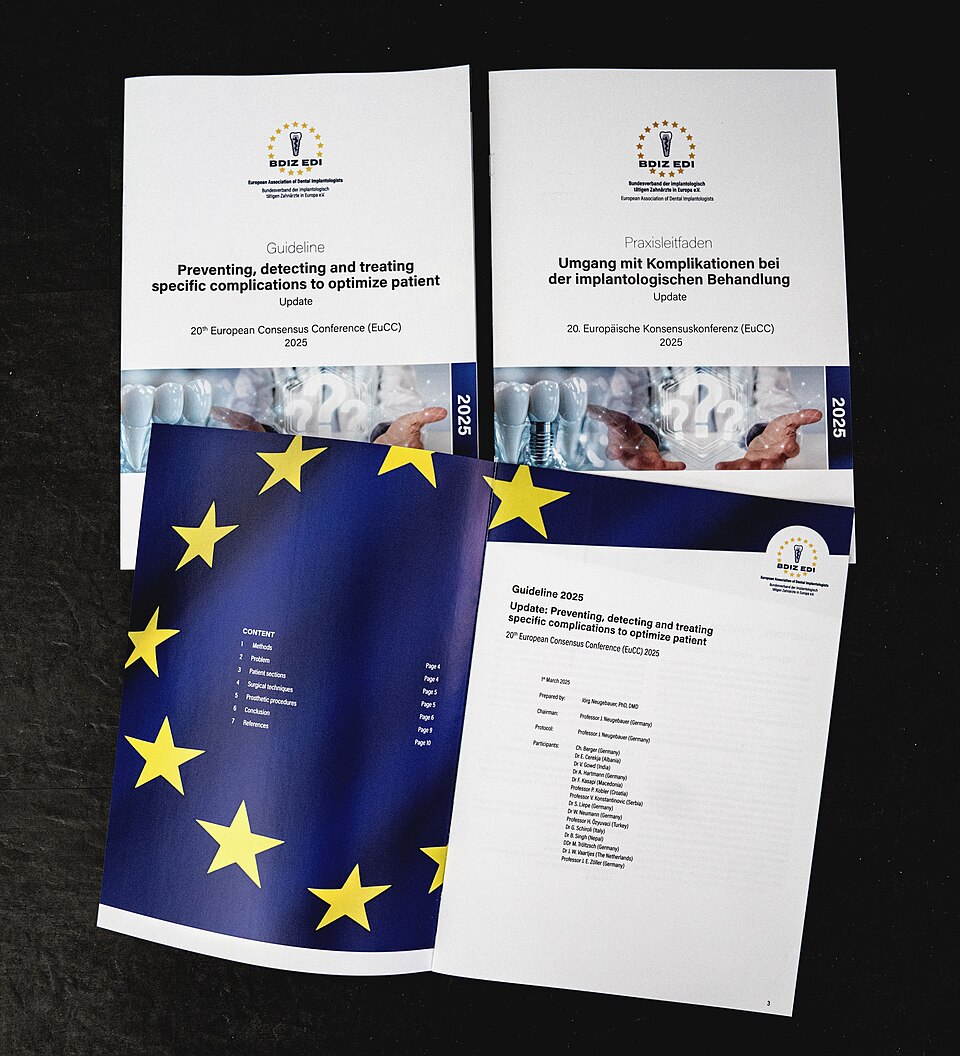 File:Guideline 2025.jpg