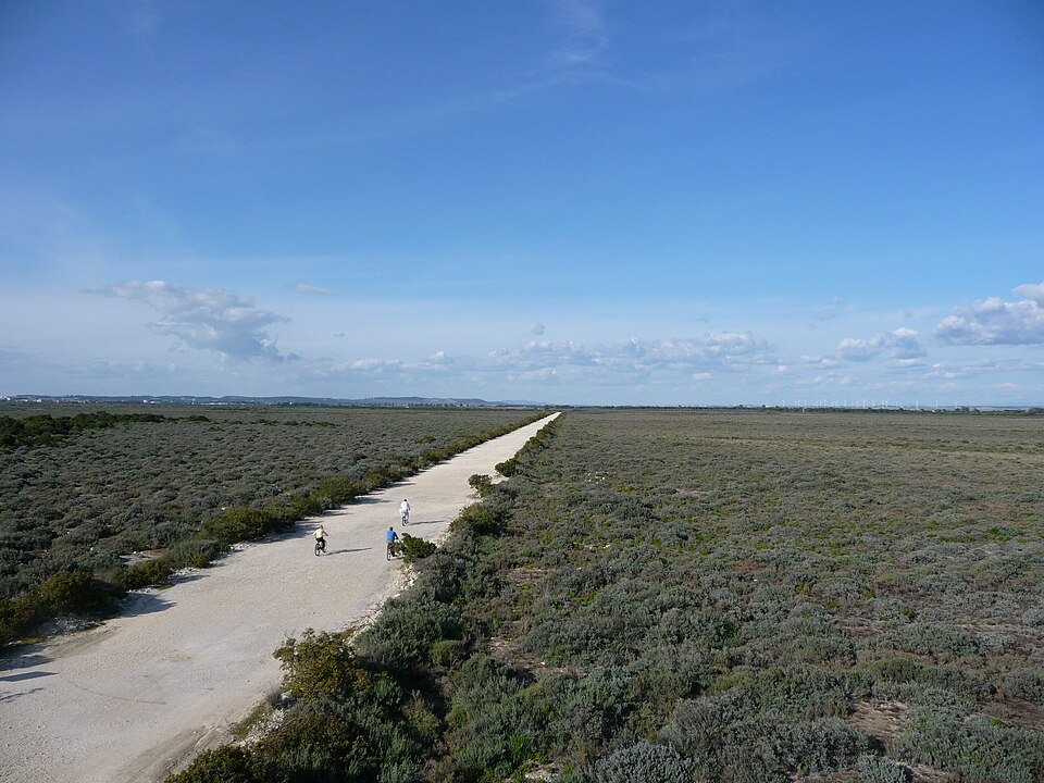File:LosTorunnos-p1020306.jpg