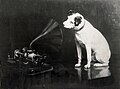 painting of dog listening to an Edison Bell cylinder phonograph ("His master's voice")