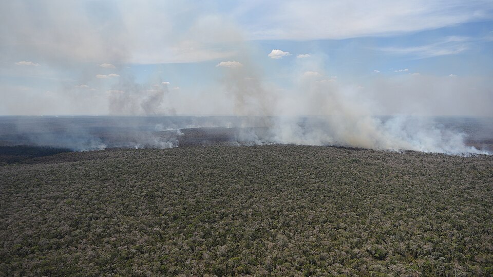 File:Terra Indígena Porquinhos, Maranhão (38928905194).jpg