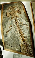 Thumbnail for version as of 16:06, 16 June 2016